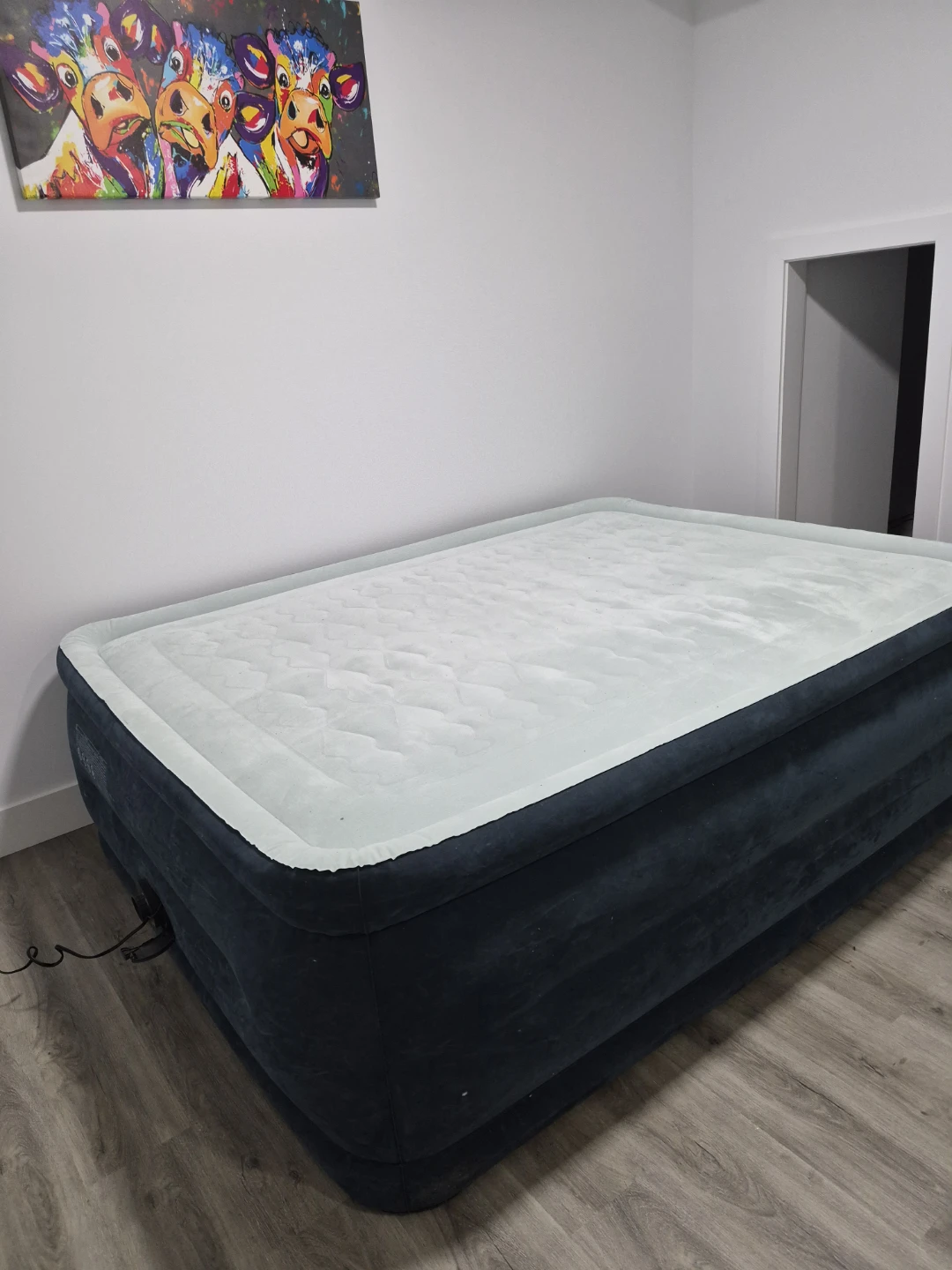 Intex Queen Size Air Mattress with Built-in Pump