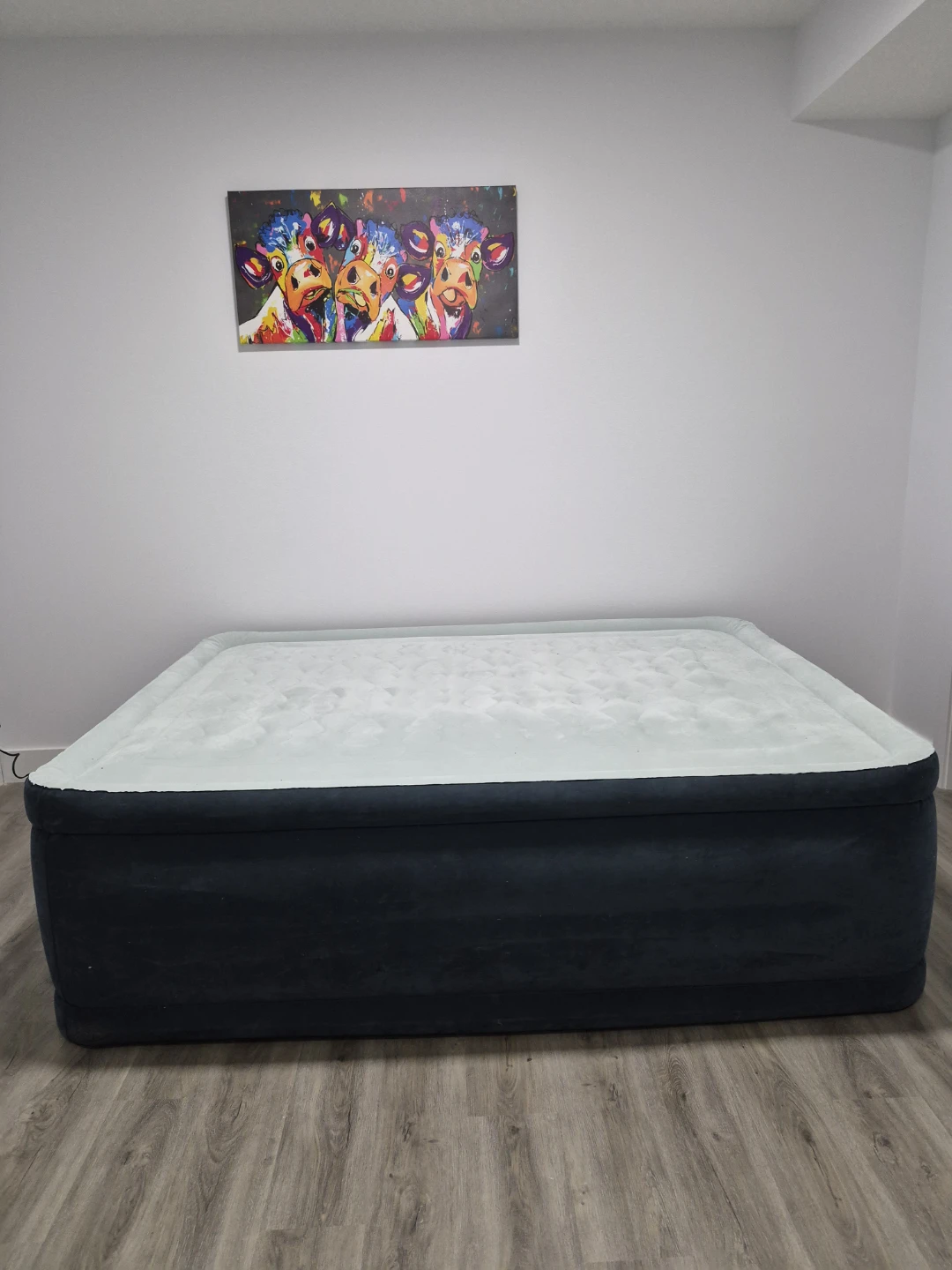 Intex Queen Size Air Mattress with Built-in Pump - photo 2