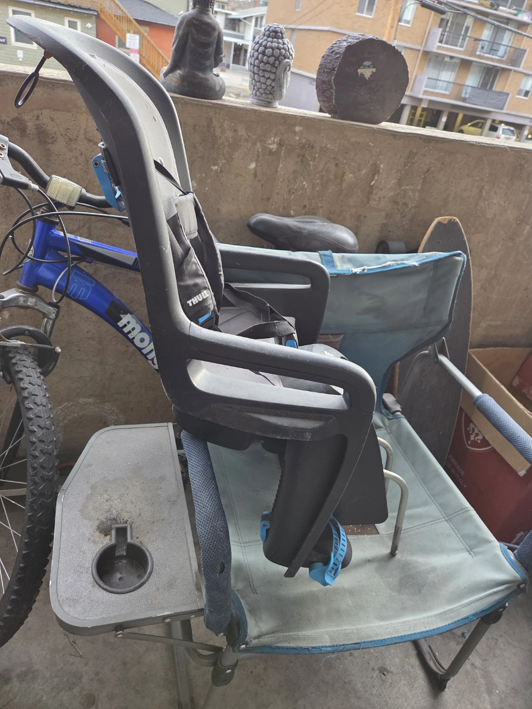 Thule RideAlong Child Bike Seat