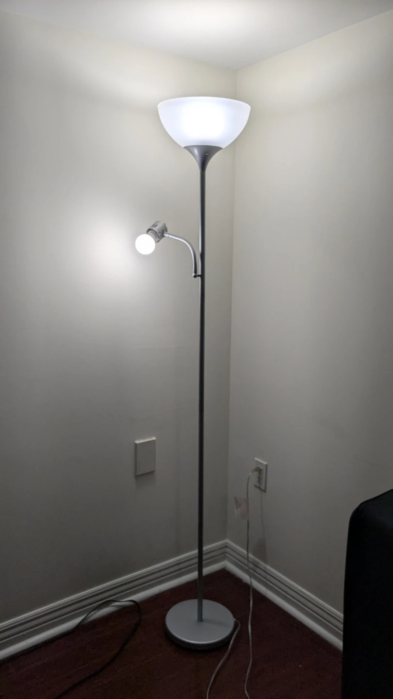 Dual Head Floor Lamp with Reading Light