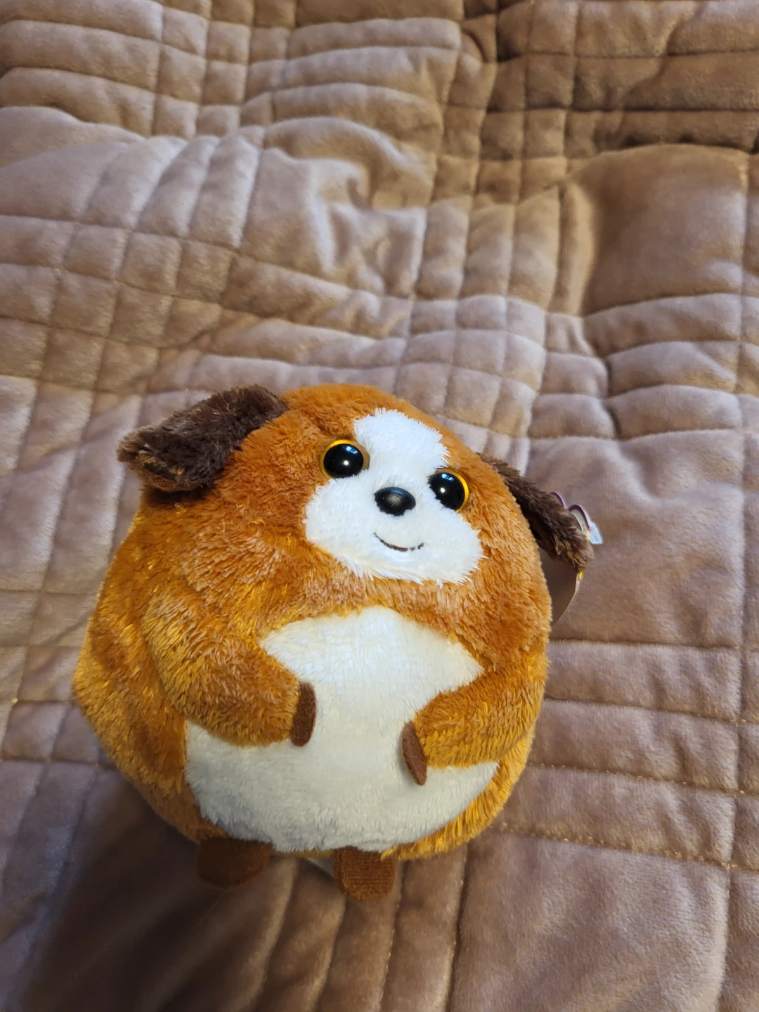 Plush Dog Toy