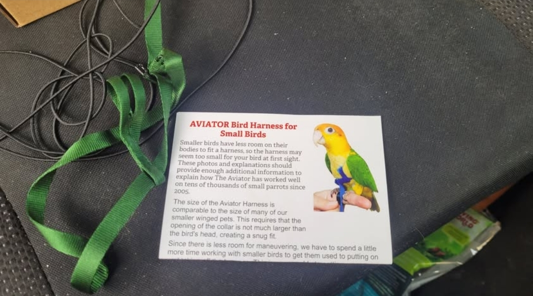 Assorted Bird Accessories and Supplies Lot - photo 4