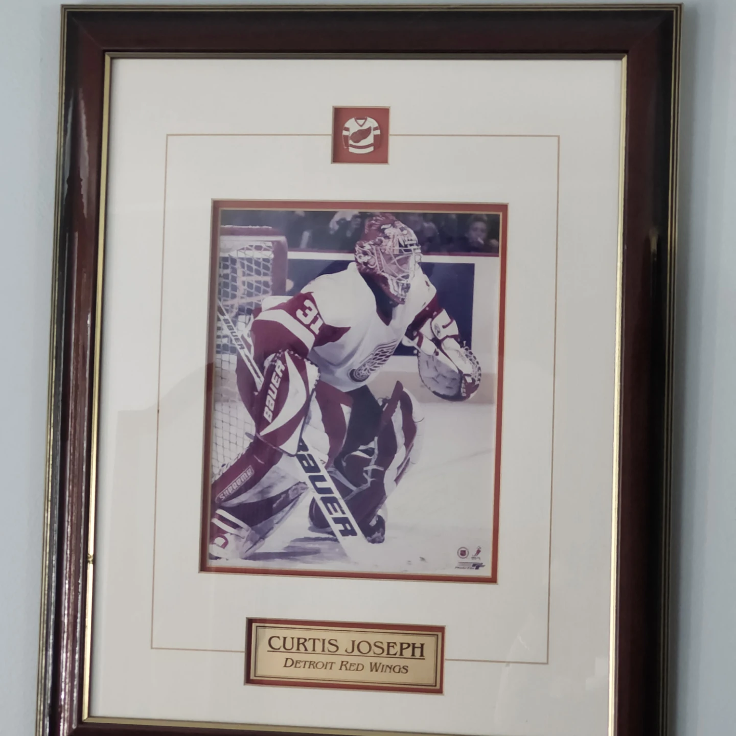 Curtis Joseph Detroit Red Wings Framed Photo