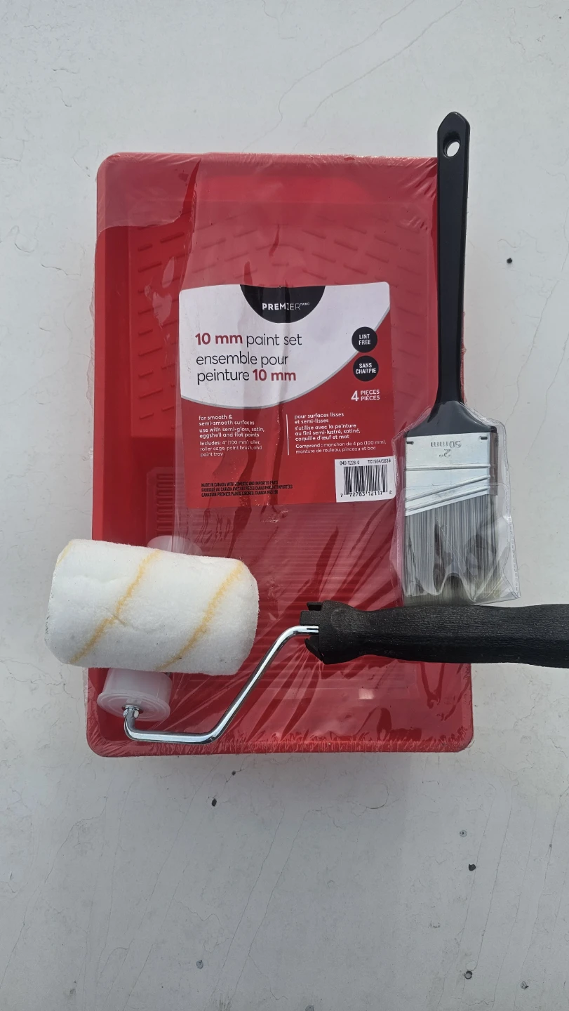 Premier 10 mm Paint Set with Roller, Brush and Tray