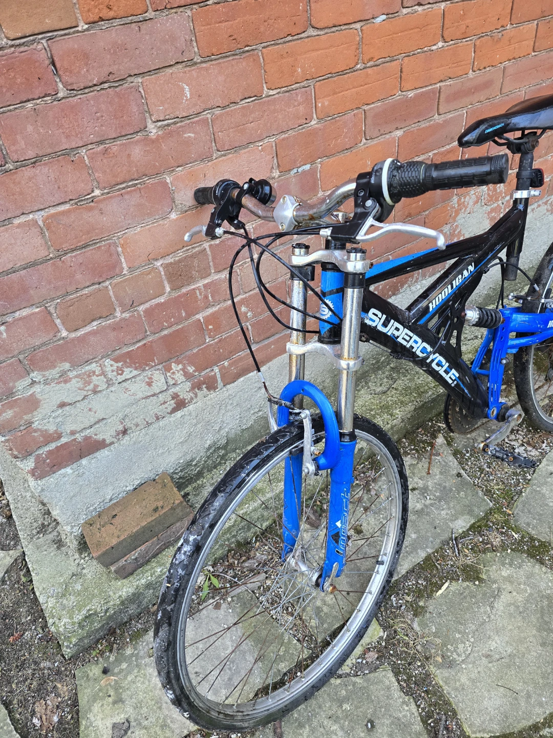 Supercycle Hooligan Mountain Bike