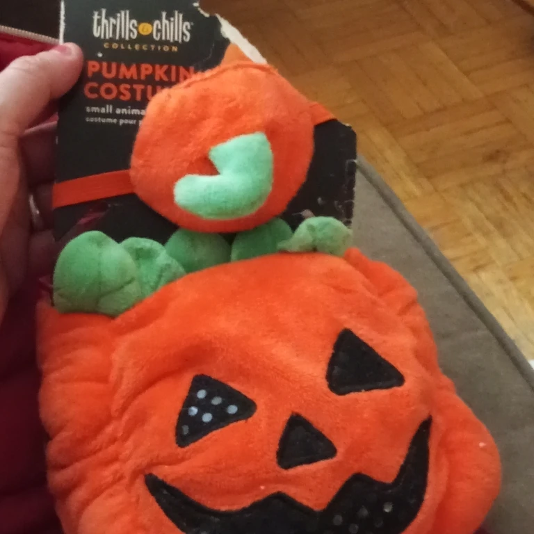 Pumpkin Costume for Small Animals