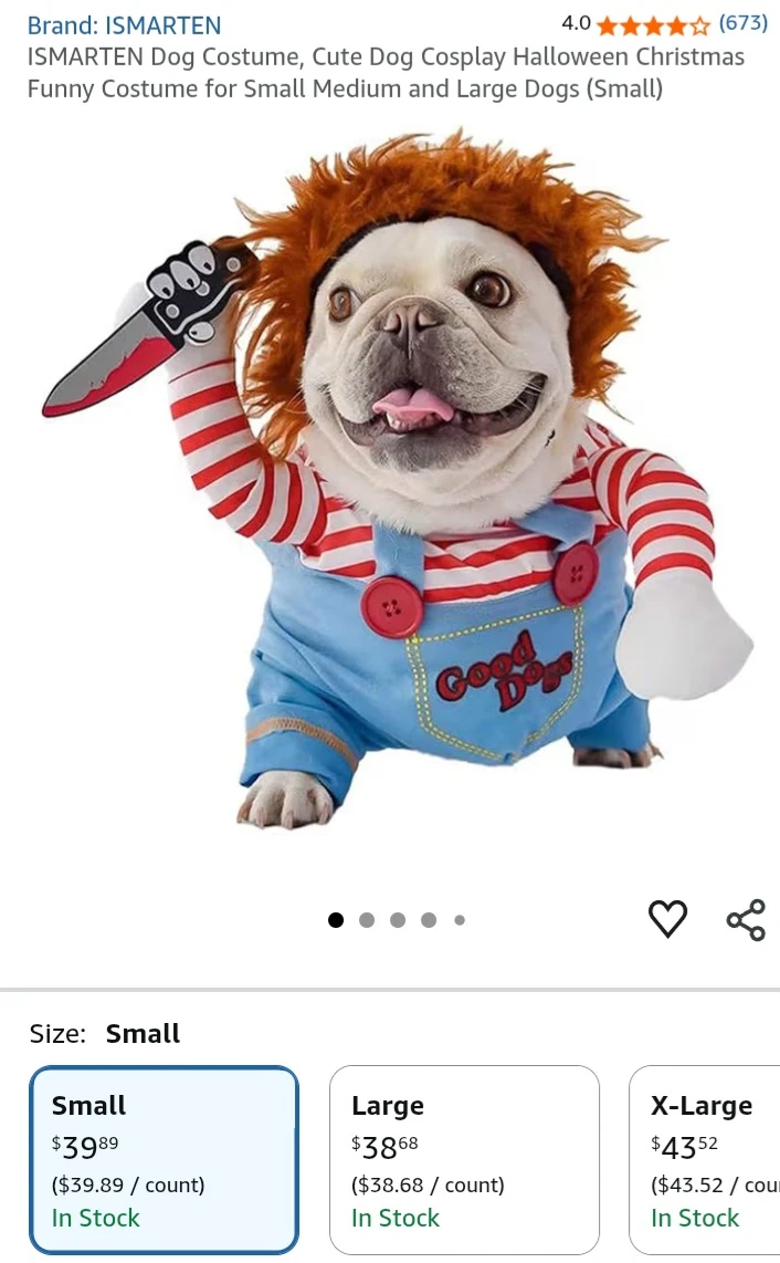 NEW!    Dog Costume - Small 🧡 - photo 2