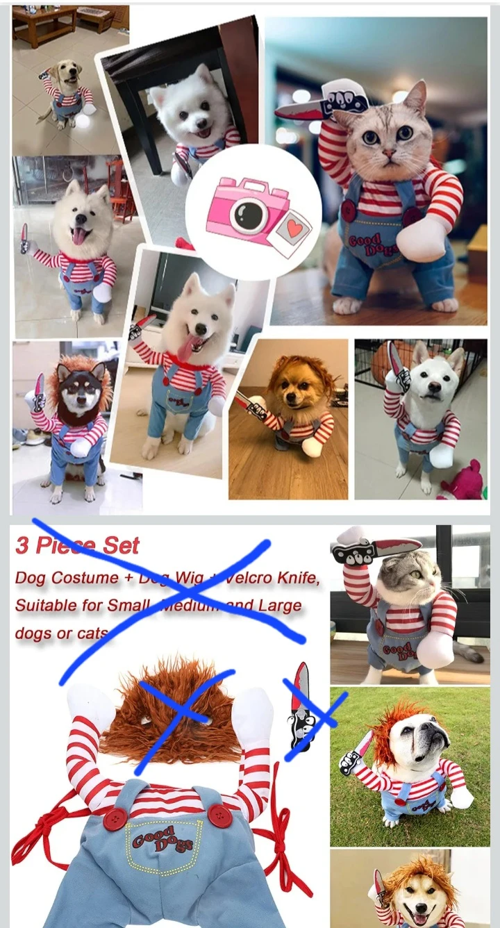 NEW!    Dog Costume - Small 🧡 - photo 3