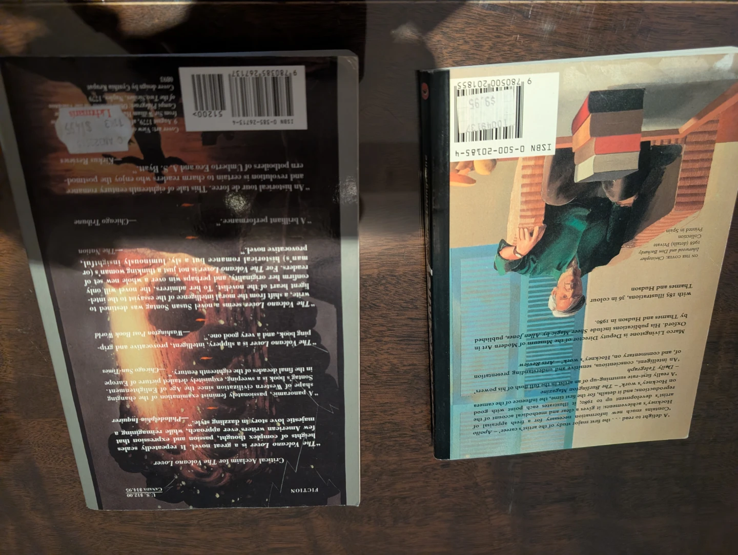The Volcano Lover Fiction Book