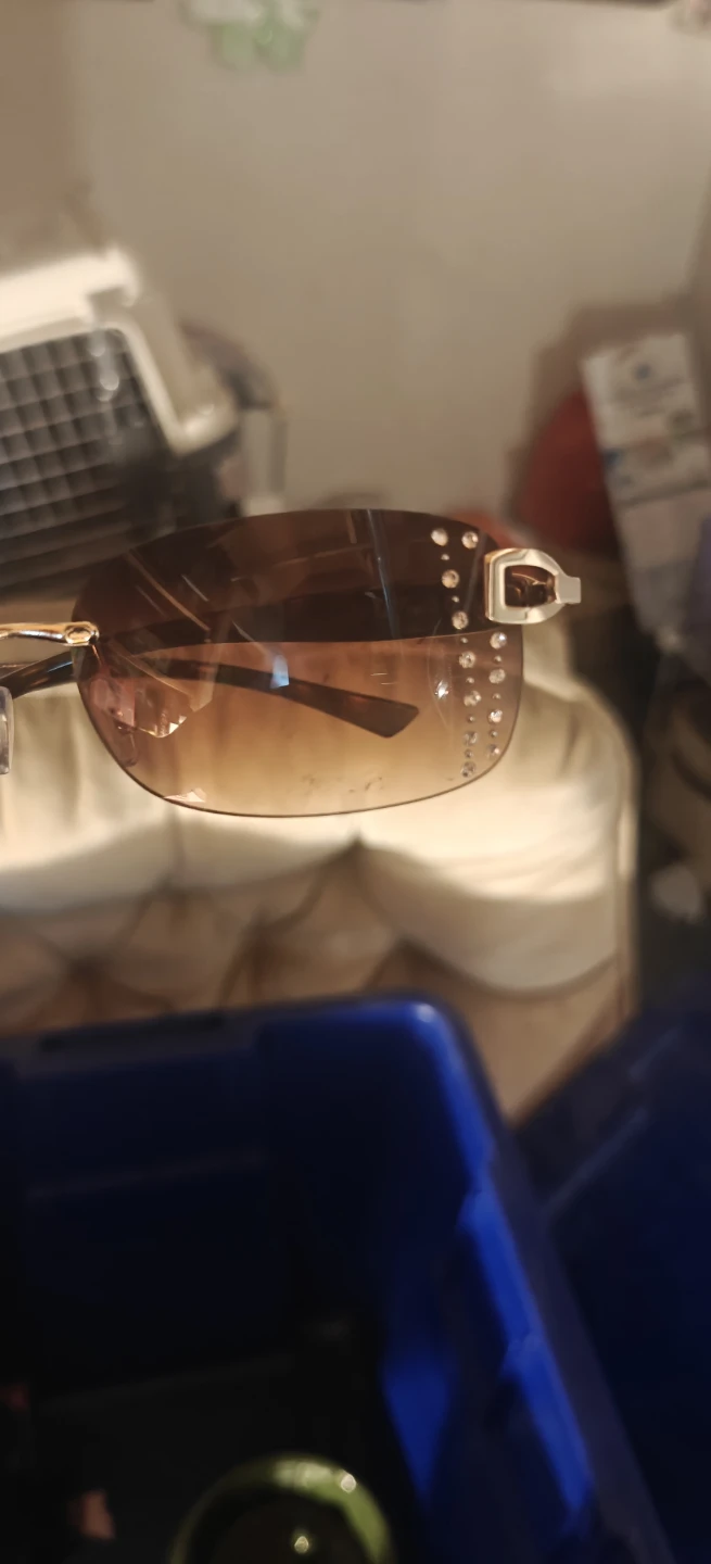 Rimless Sunglasses with Rhinestones - photo 3