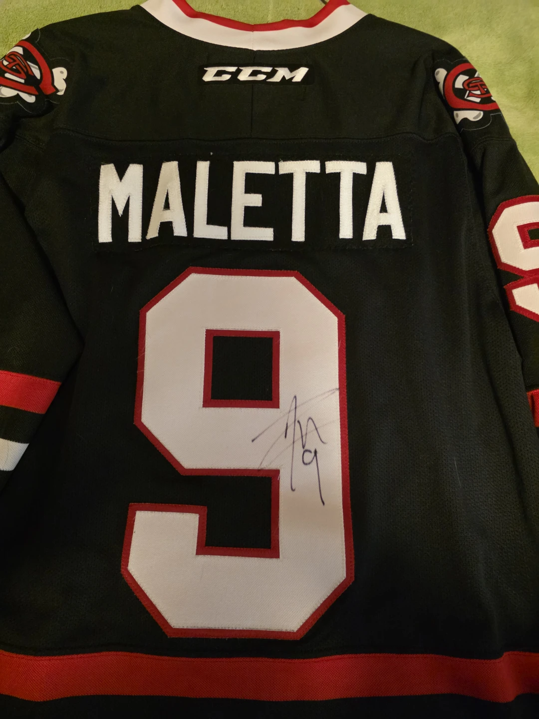 Niagara Icedogs Jersey - photo 2