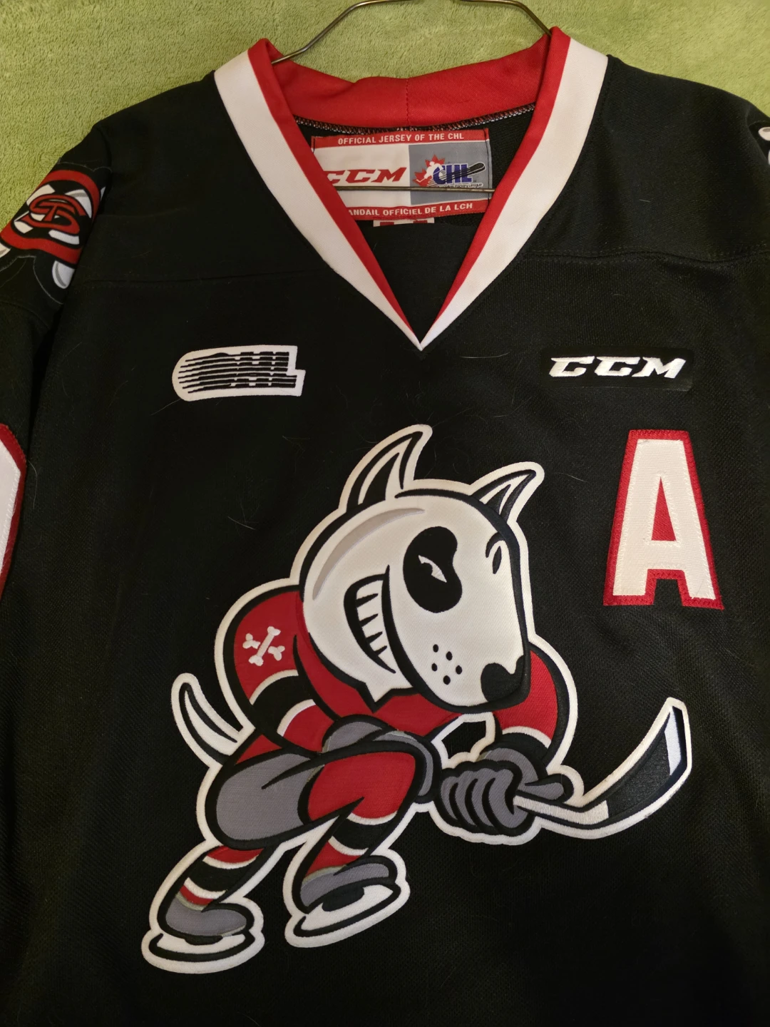 Niagara Icedogs Jersey - photo 5
