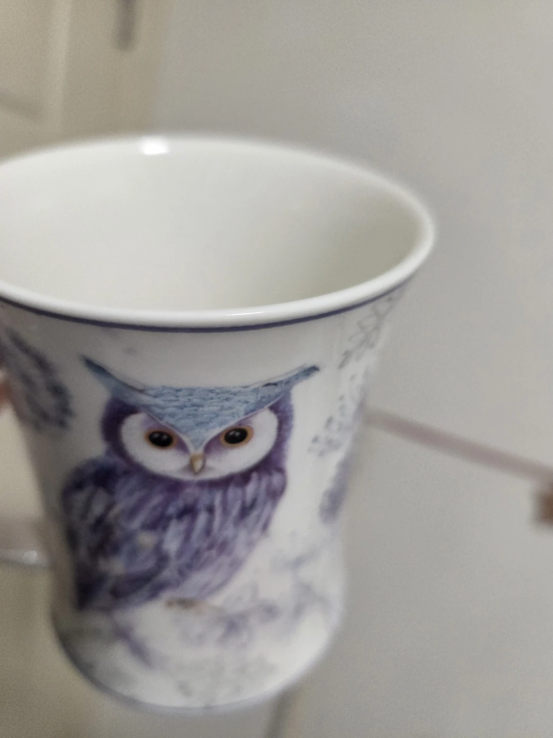 Summer House Owl Mug - photo 3