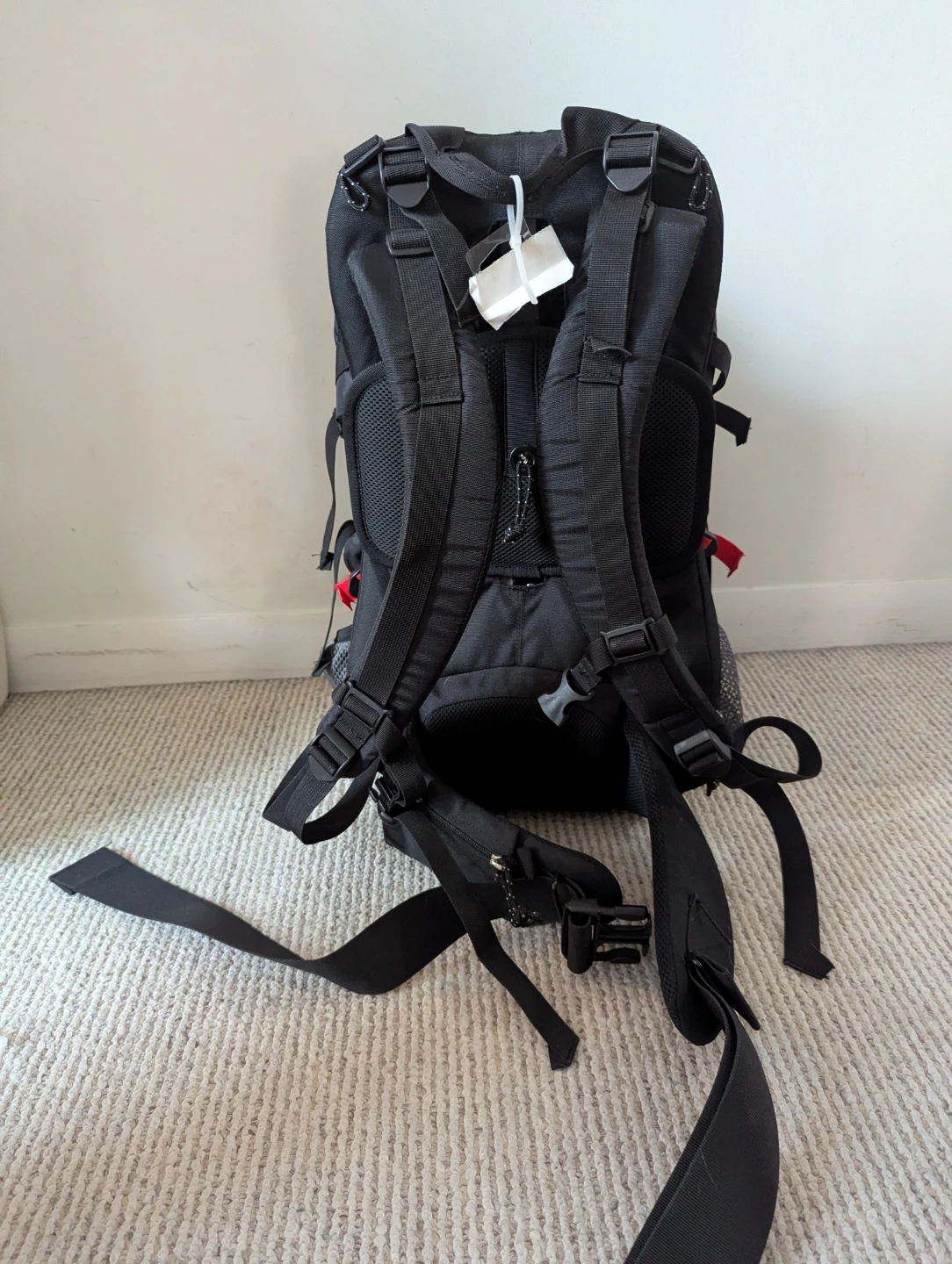 Kelty TC 2.5 Child Carrier Backpack - photo 4