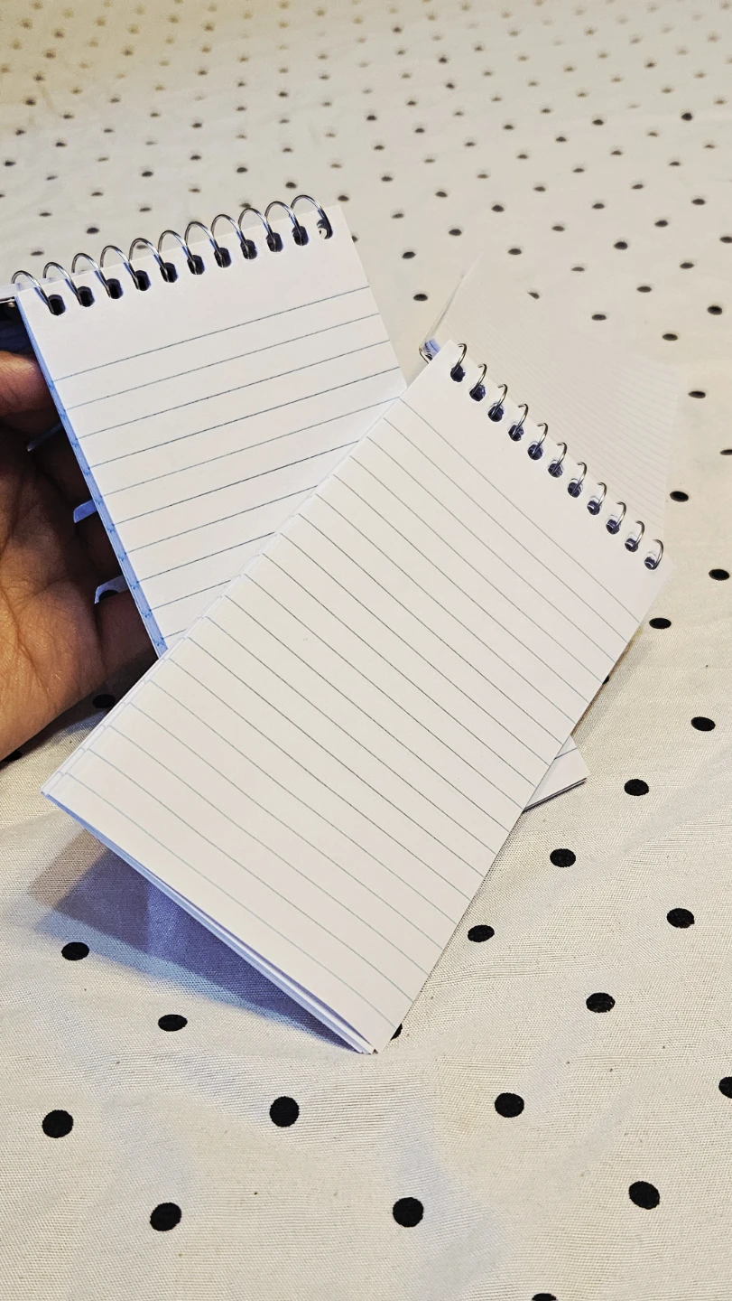 3 Mini Notebooks - photo 3