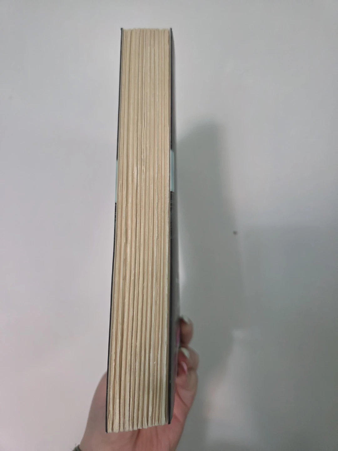 The Paris Apartment by Lucy Foley Novel - photo 3