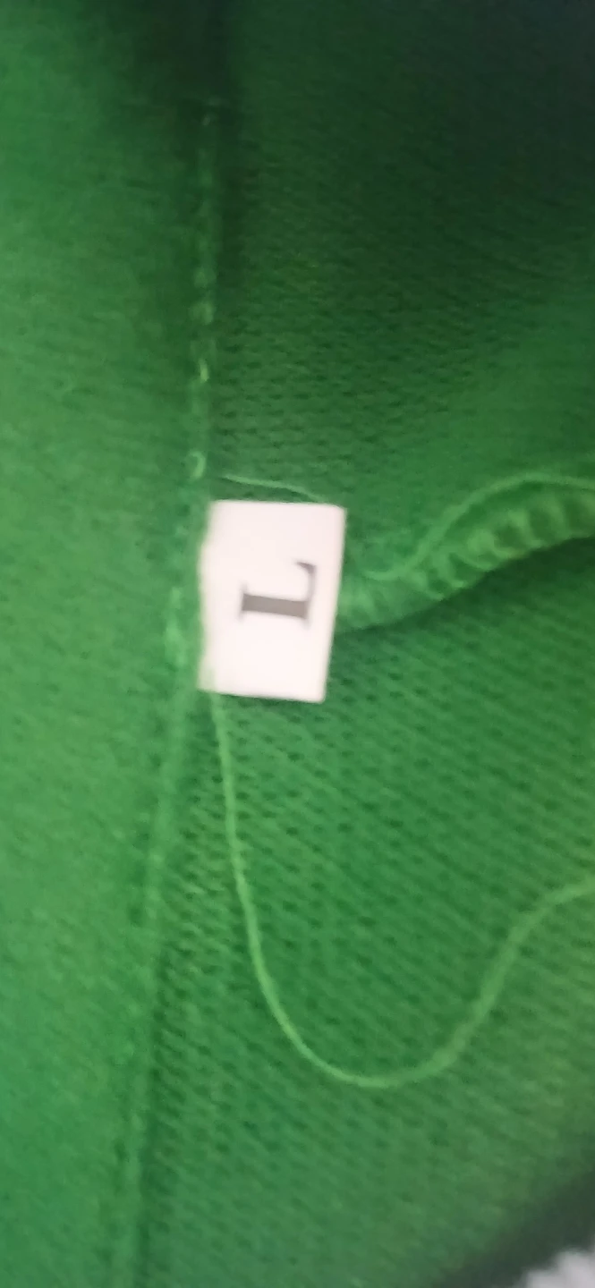 Green Elf Costume - photo 2