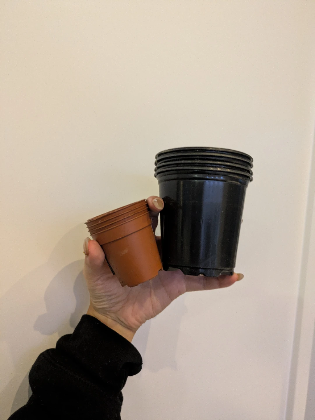 *FREE* Planters 🥕