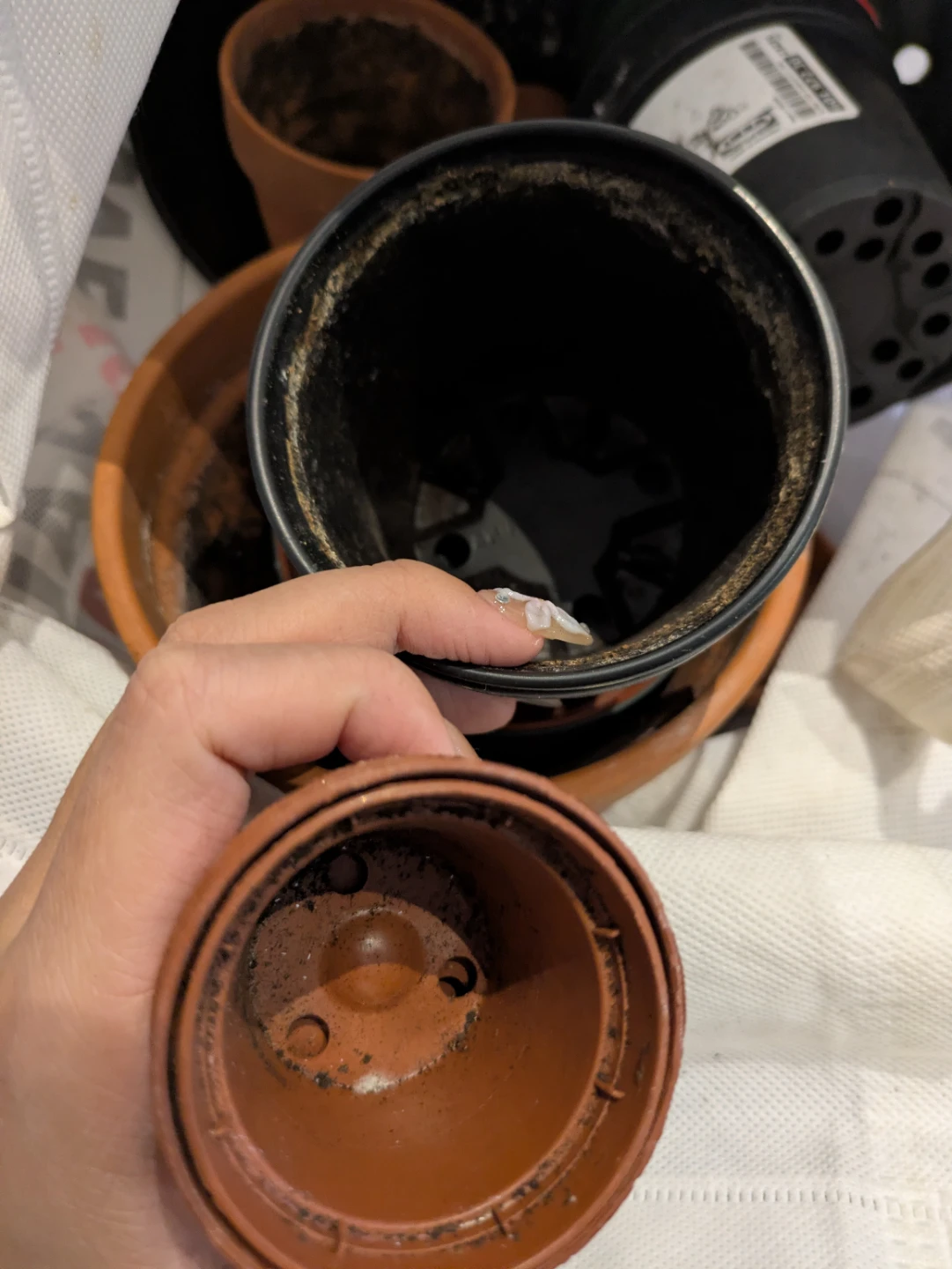 *FREE* Planters 🥕 - photo 2