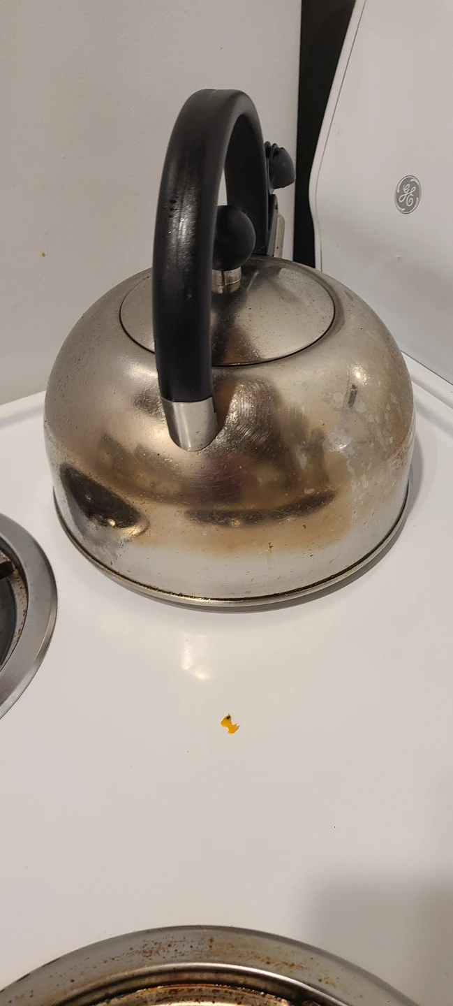 Stainless Steel Whistling Kettle