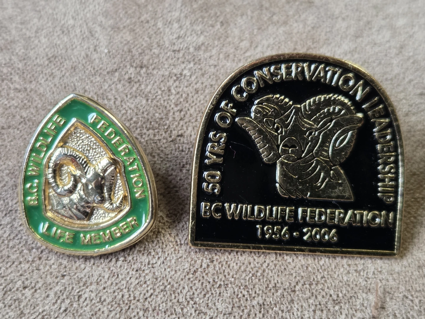 BC Wildlife Federation Pins - Life Member & 50 Yrs