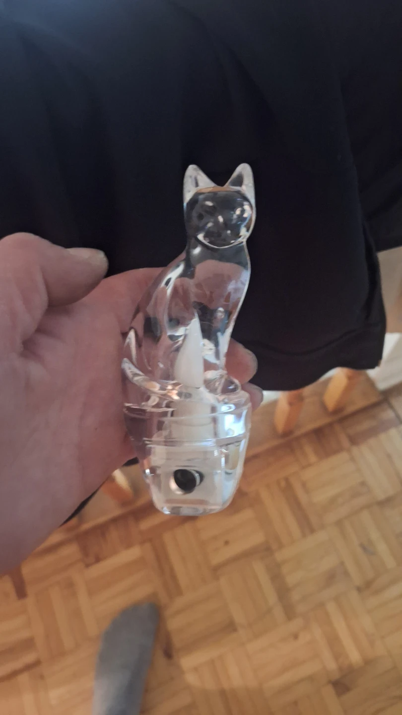 Clear Glass Cat Night Light - photo 4