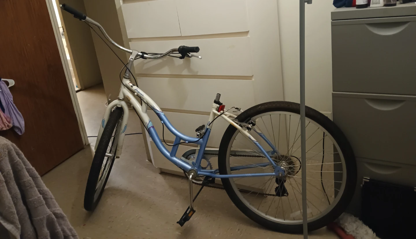 Schwinn Bike