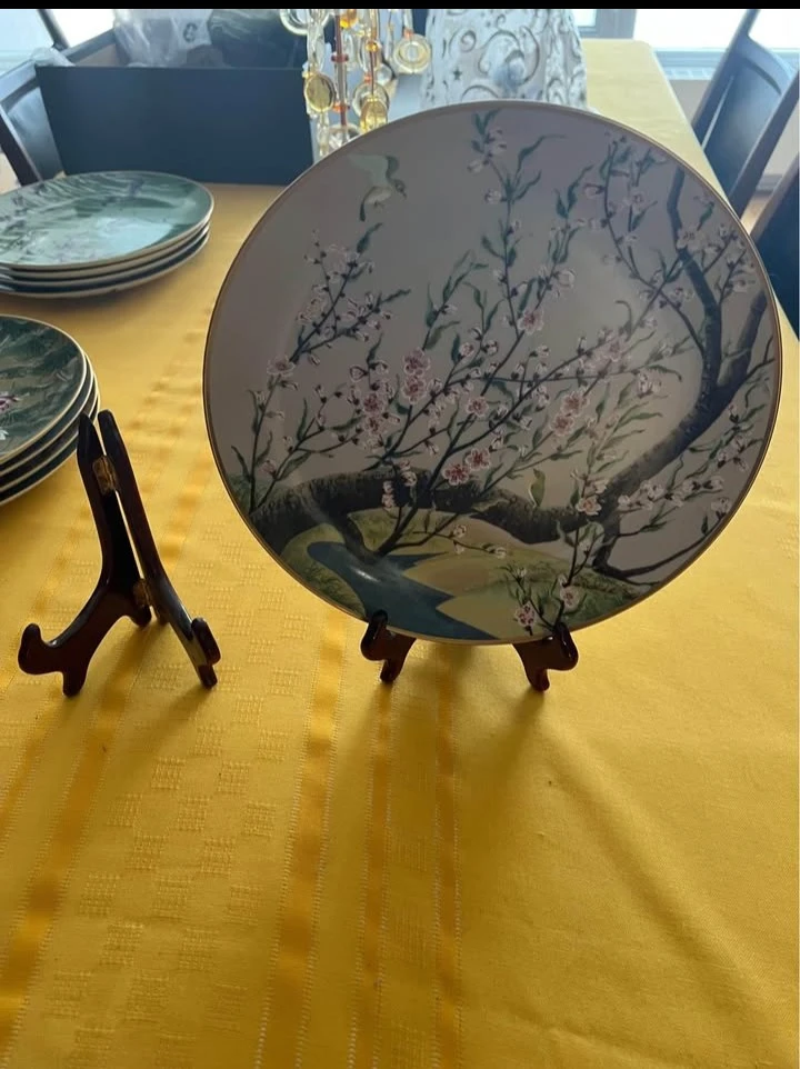 12 Beautiful Porcelain Plates Set! - photo 4