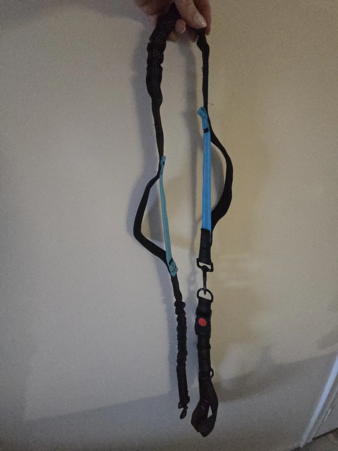 Hands-Free Dog Leash with Elastic Bungee