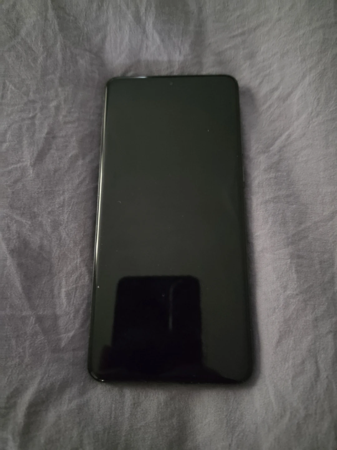 OnePlus 13 and OnePlus Buds Pro 3