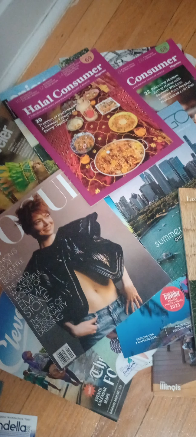 Chicago Travel Brochures and Magazines - photo 3