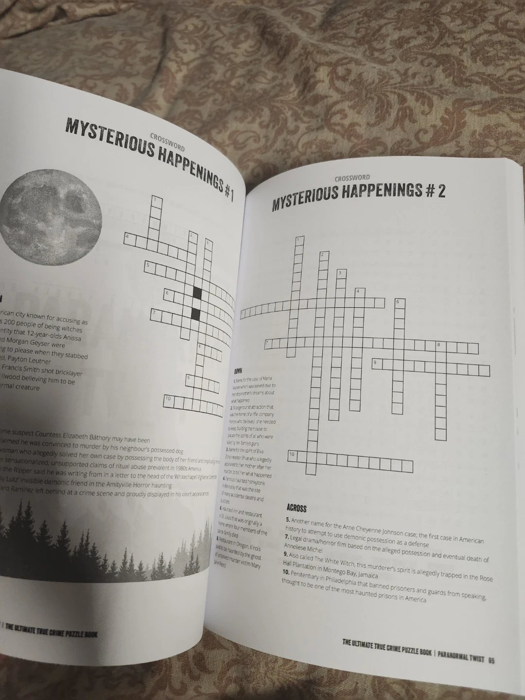 The Ultimate True Crime Puzzle Book by Jack Rosewood - photo 4
