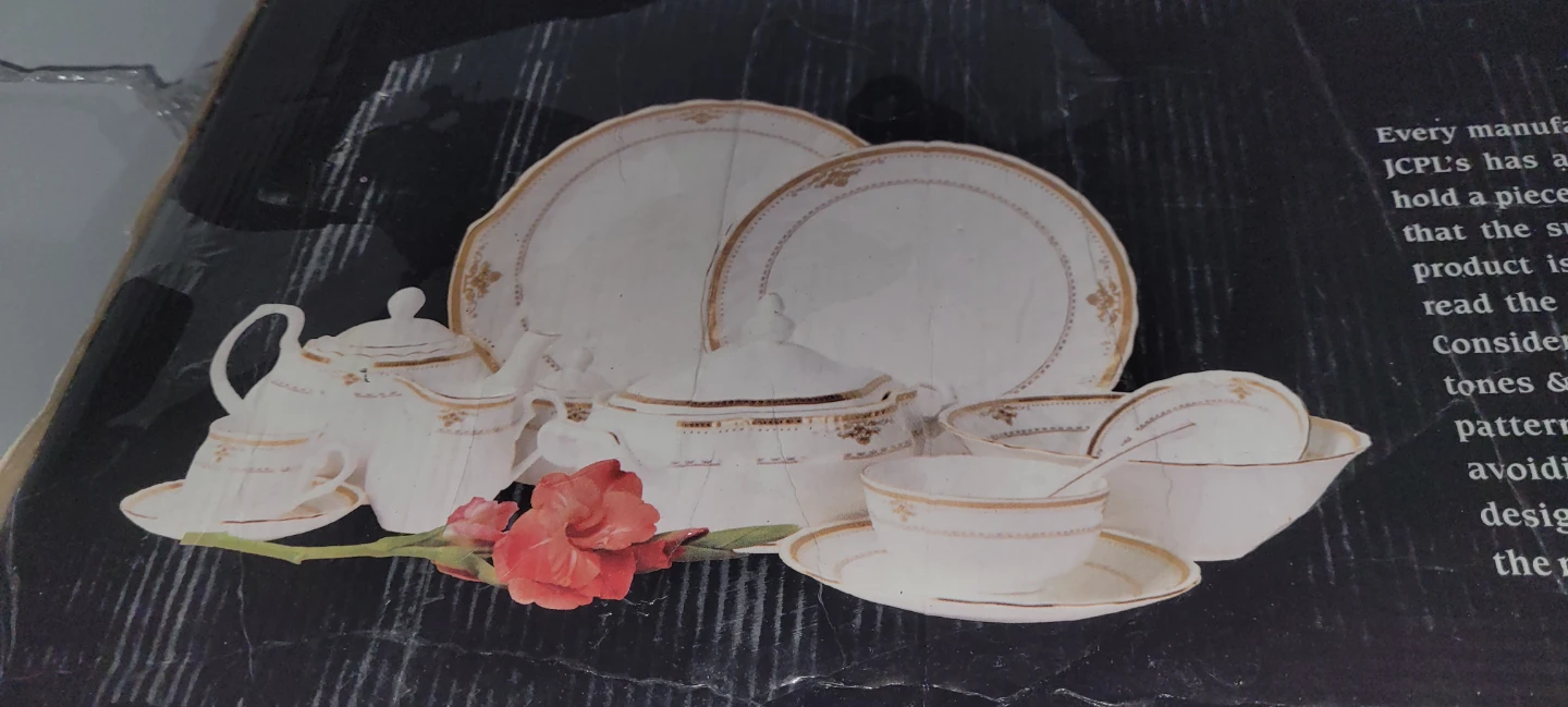 JCPL 66 Piece Fine Bone China Dinner Set
