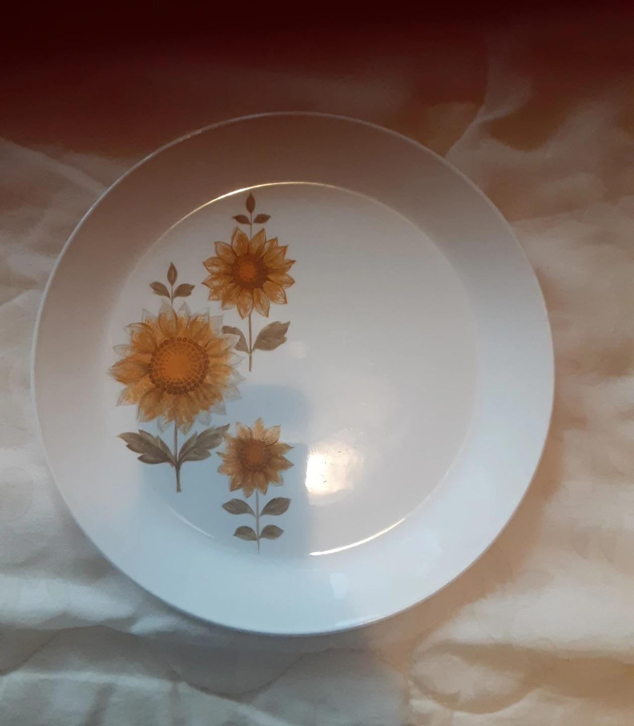 Johnson Brothers Ironstone Dinner Plates (Set of 2) - 10 Inch - photo 2