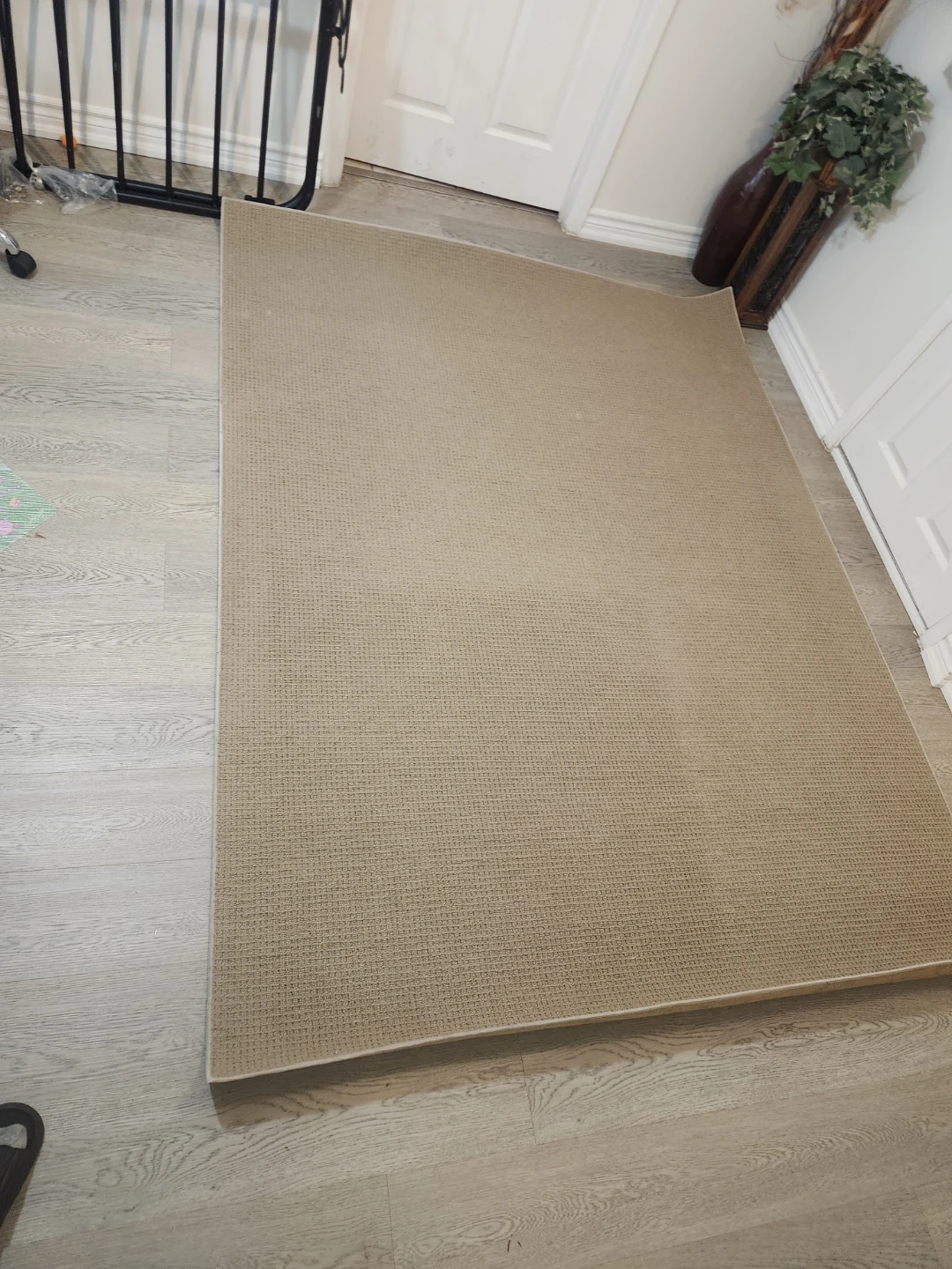 Large Beige Area Rug 8' x 10' - photo 4