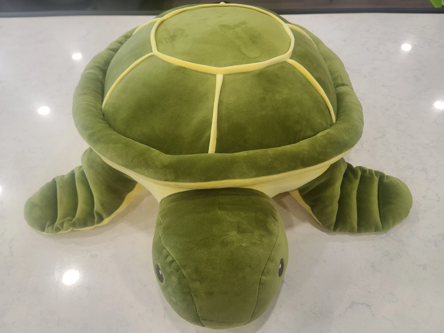 Plush Turtle Pillow