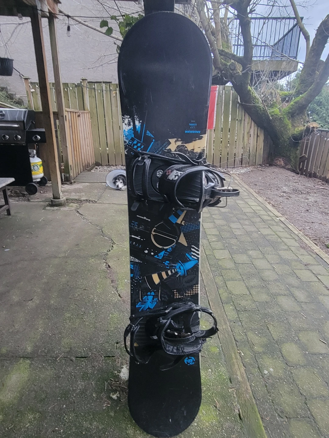 Snowboard