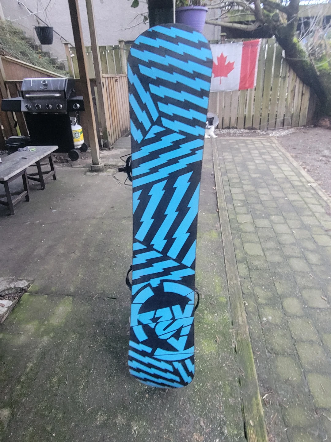 Snowboard - photo 2