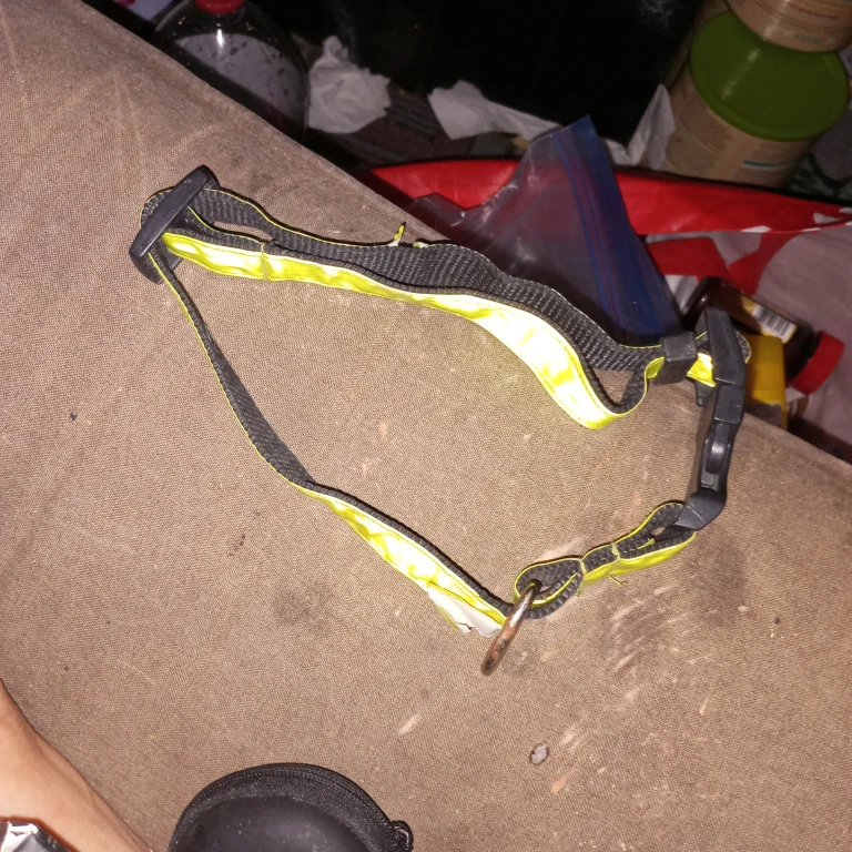 Reflective Dog Collar - photo 2