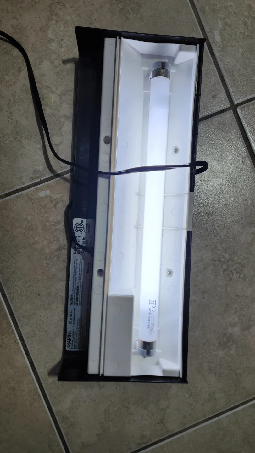 Marina 20 x 10 inch Portable Fluorescent Luminaire - photo 2