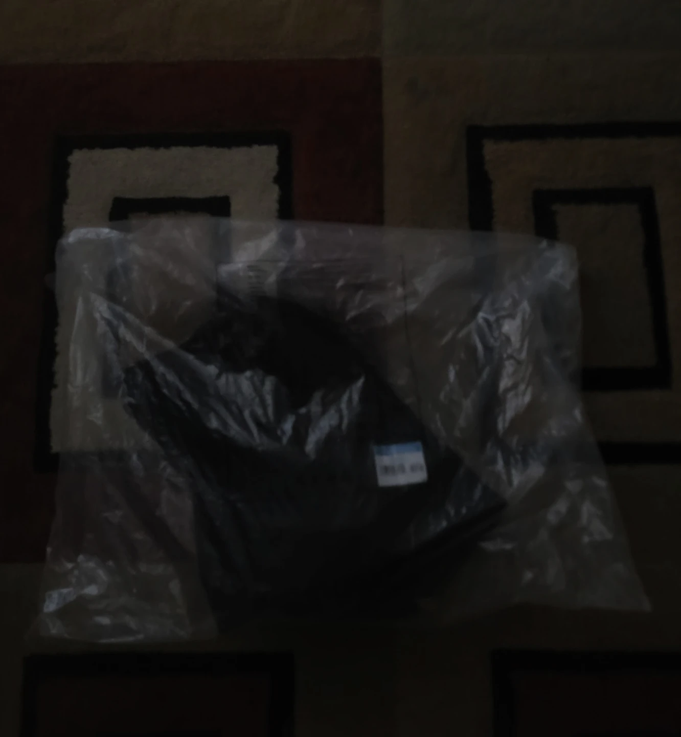 Authentic Syna World Tech Pants — Brand New
