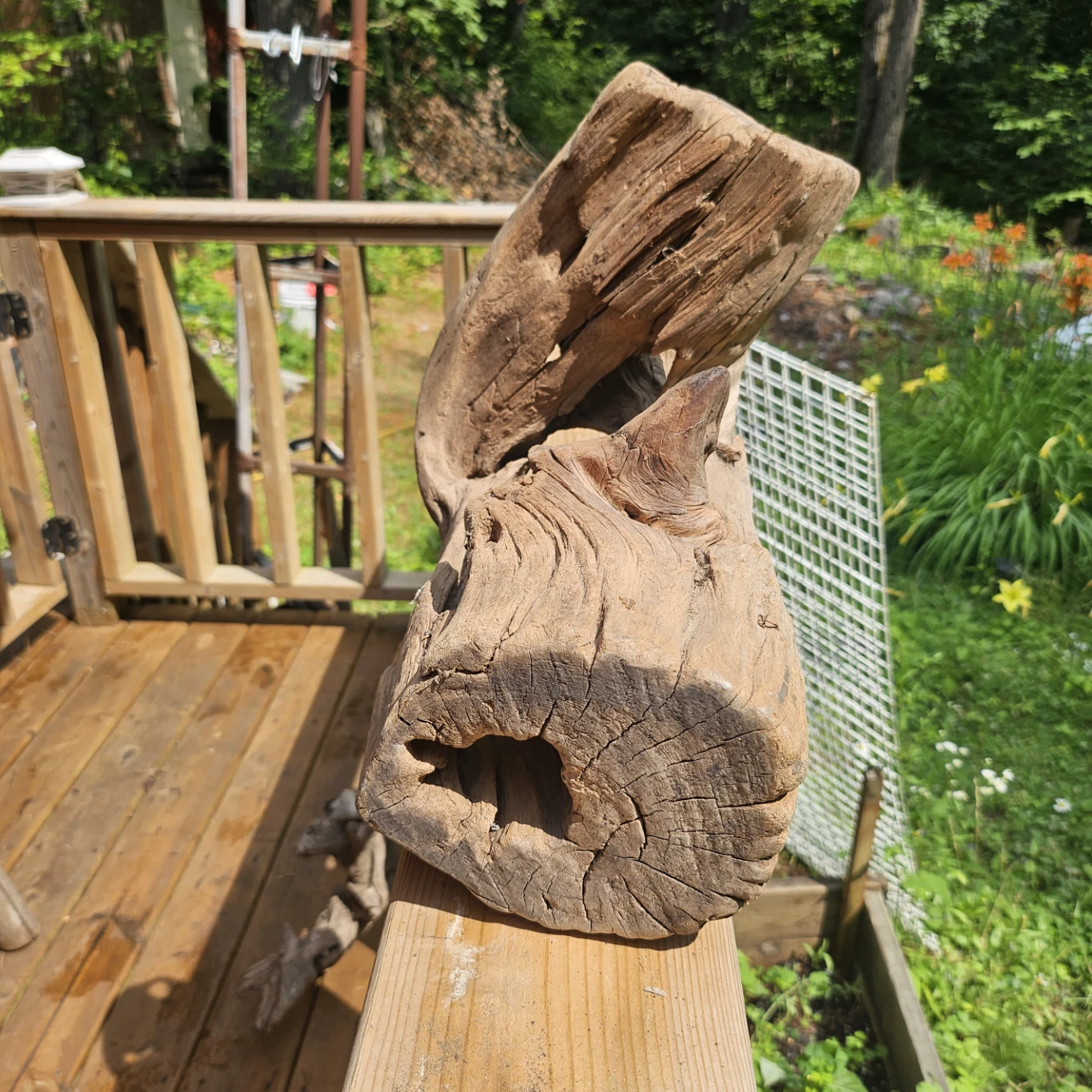 Unique Natural Driftwood Sculpture for Decor - photo 2