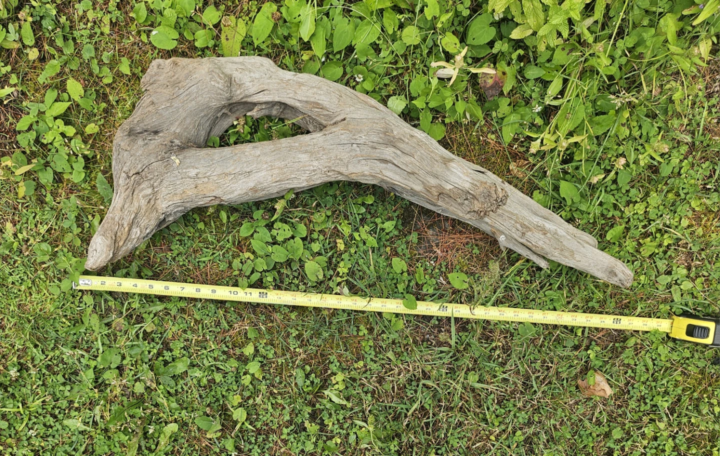 Unique Natural Driftwood Sculpture for Decor