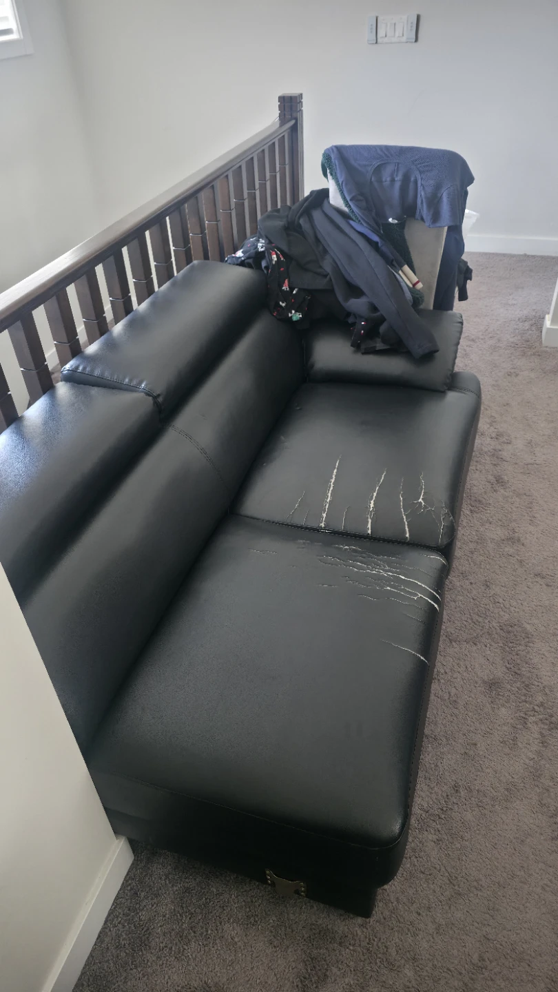 FREE SOFA
