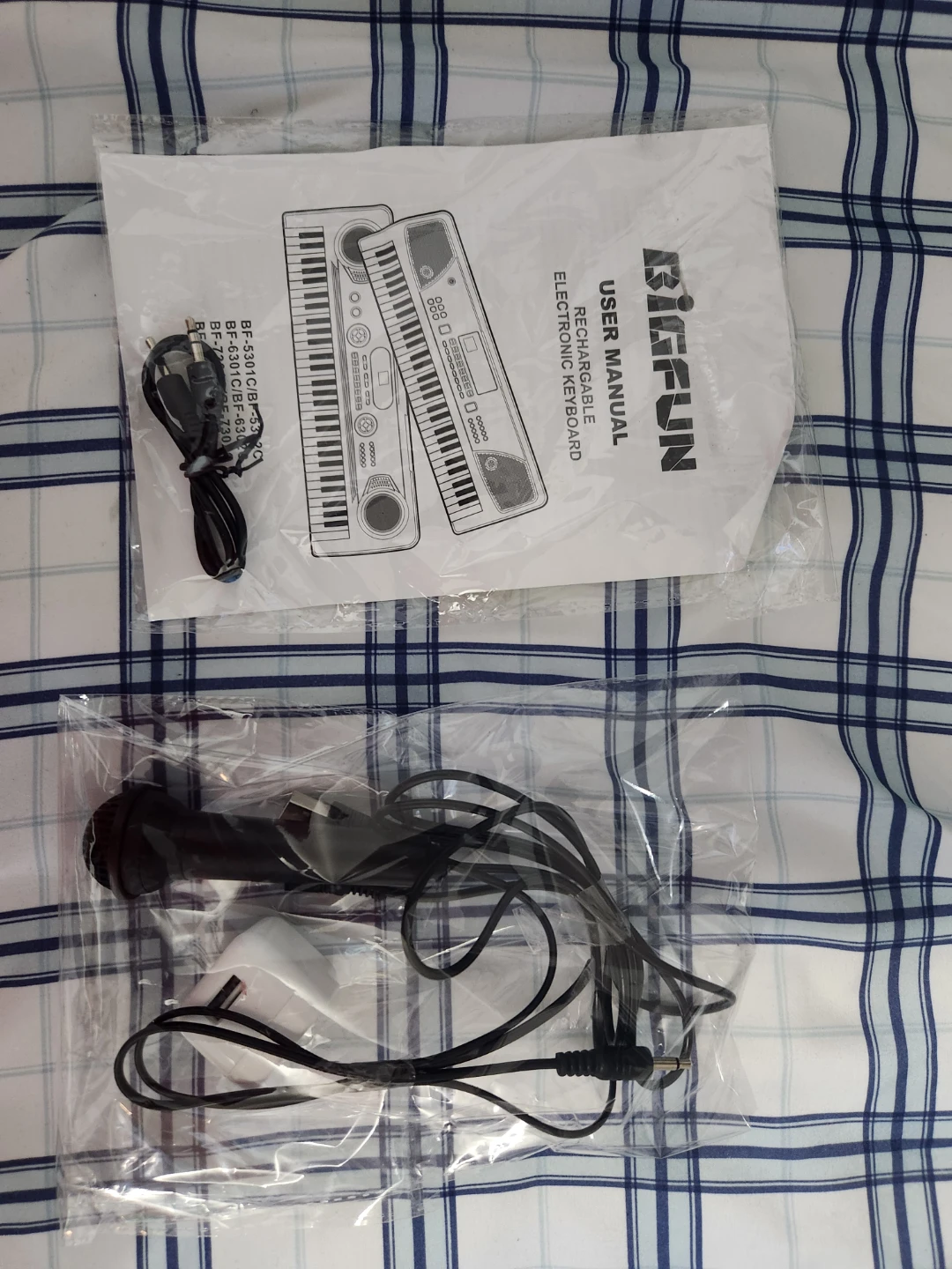 BIGFUN 61 Keys Rechargeable Electronic Keyboard BF-600C - photo 5