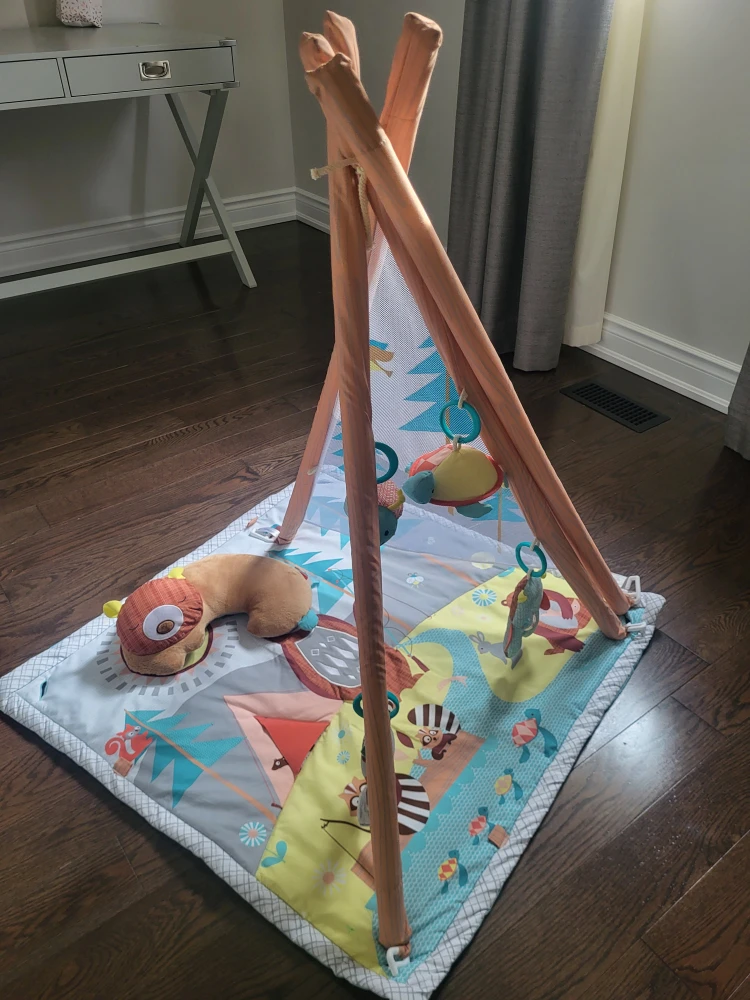 Fisher-Price Woodland Dreams Play Gym - photo 2