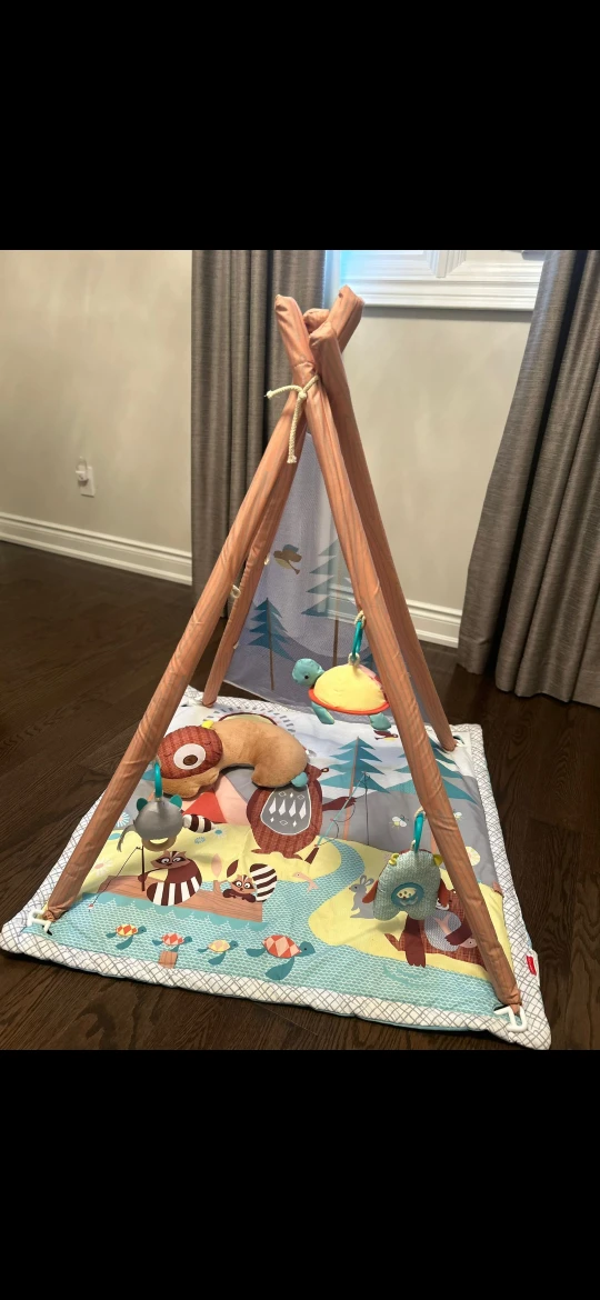 Fisher-Price Woodland Dreams Play Gym - photo 3