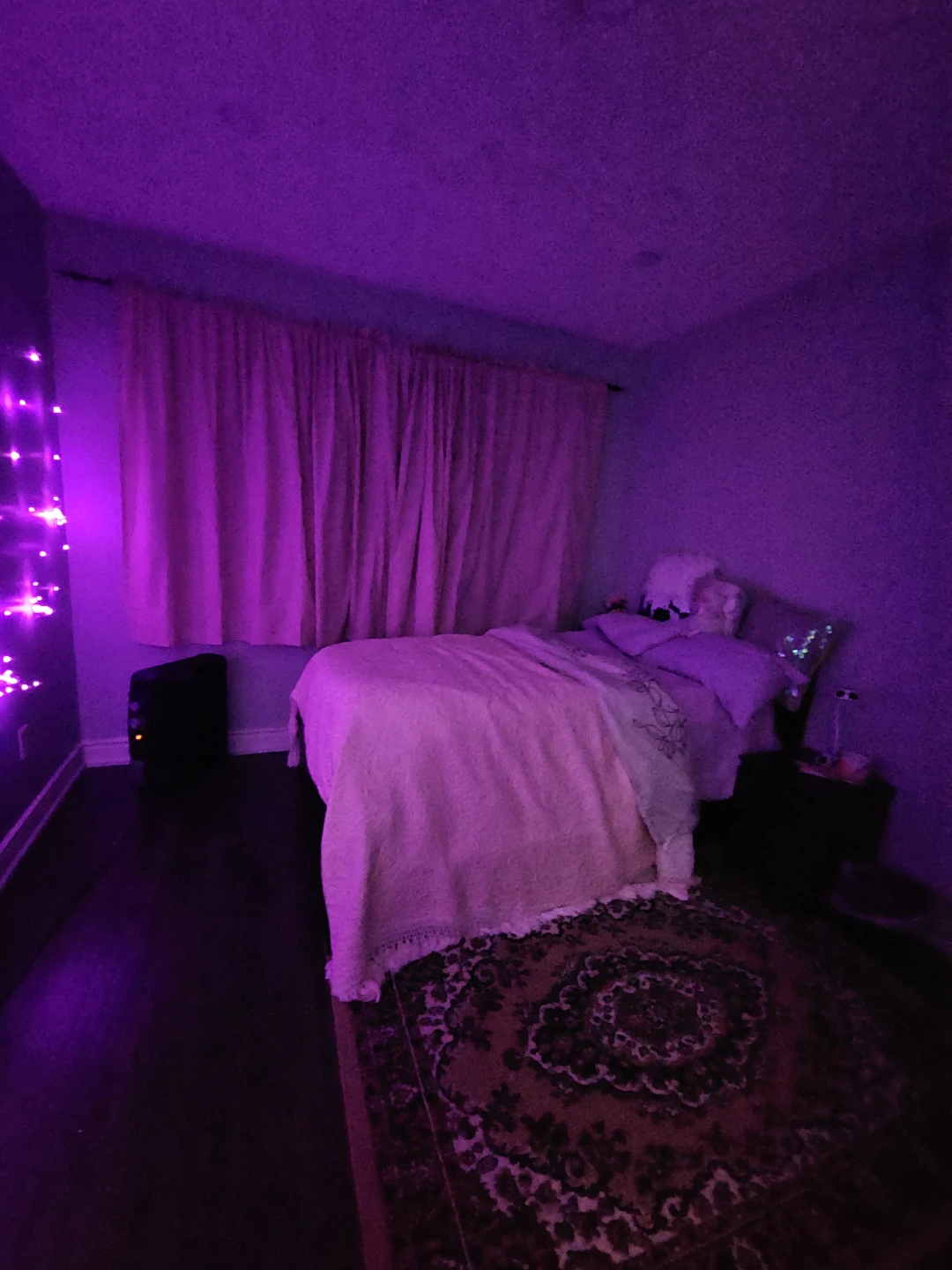 Private Room with private washroom - photo 2