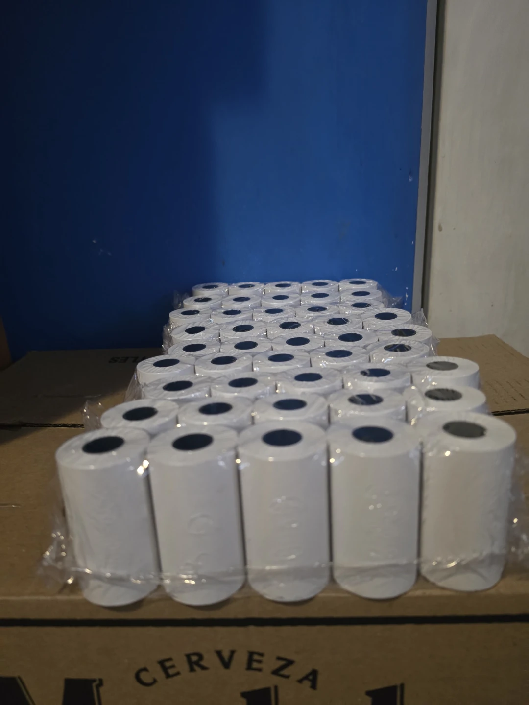 Thermal Paper Rolls - 45 Rollos