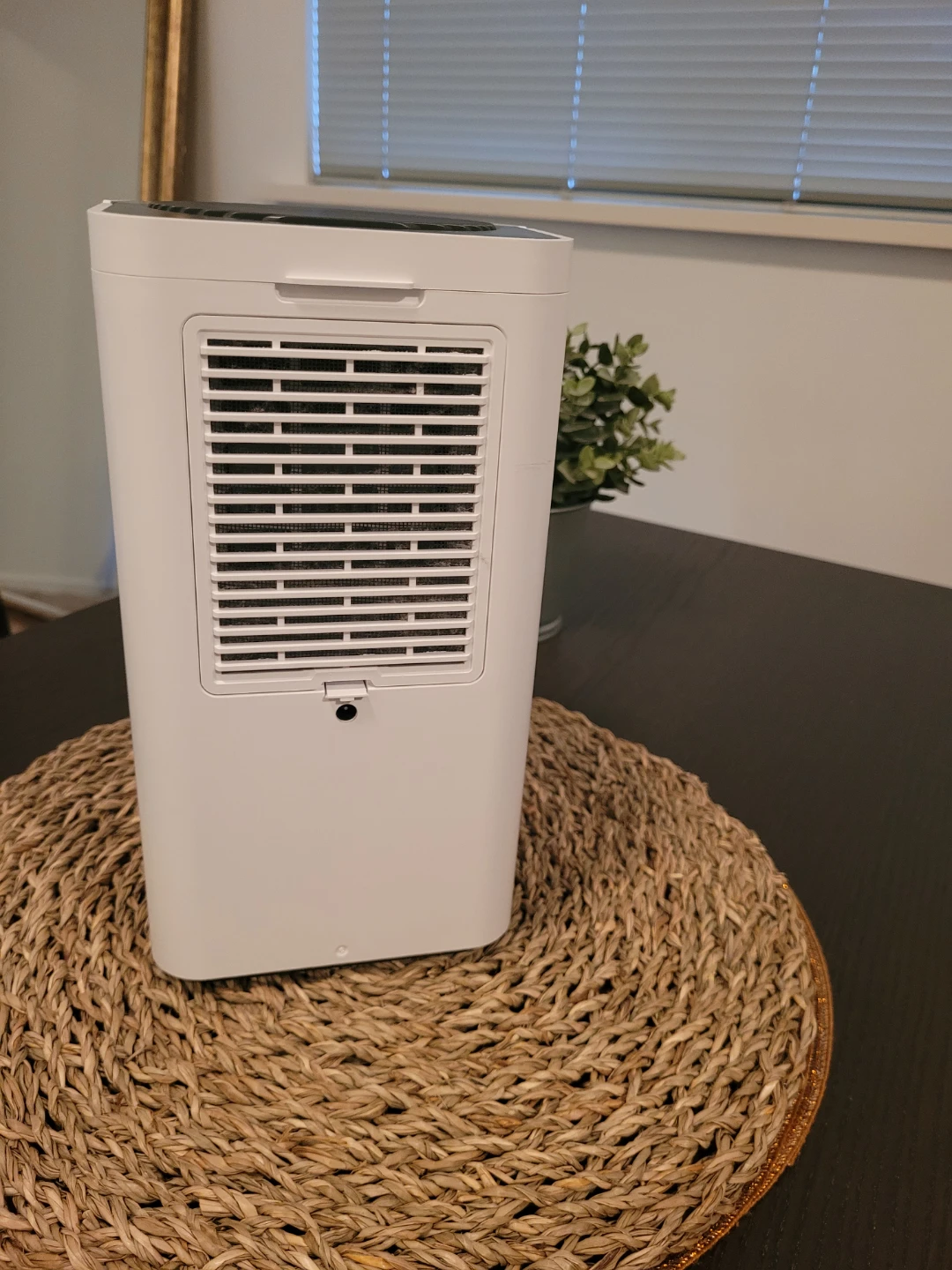EasyAcc 1200ML Dehumidifier - photo 3